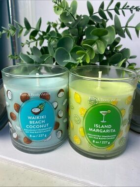 Bath & Body Works Summer Scents 2 New Signature Single Wick Candles